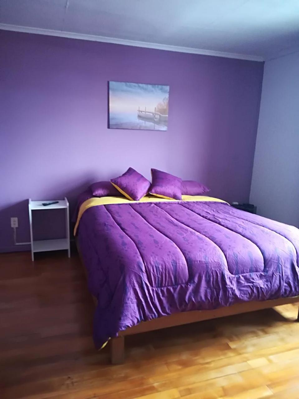 Puq Casa Amigos Apartment Punta Arenas Exterior photo